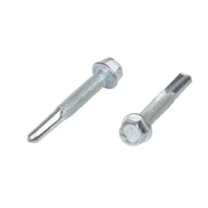 Roofing Screw (1)